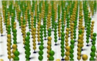 Library DNA Normalization