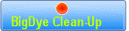 BigDye Clean-Up