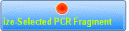 Size-Selected PCR Fragment