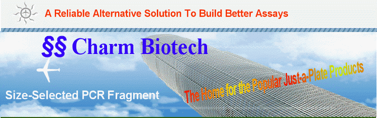 Size-Selected PCR Fragment